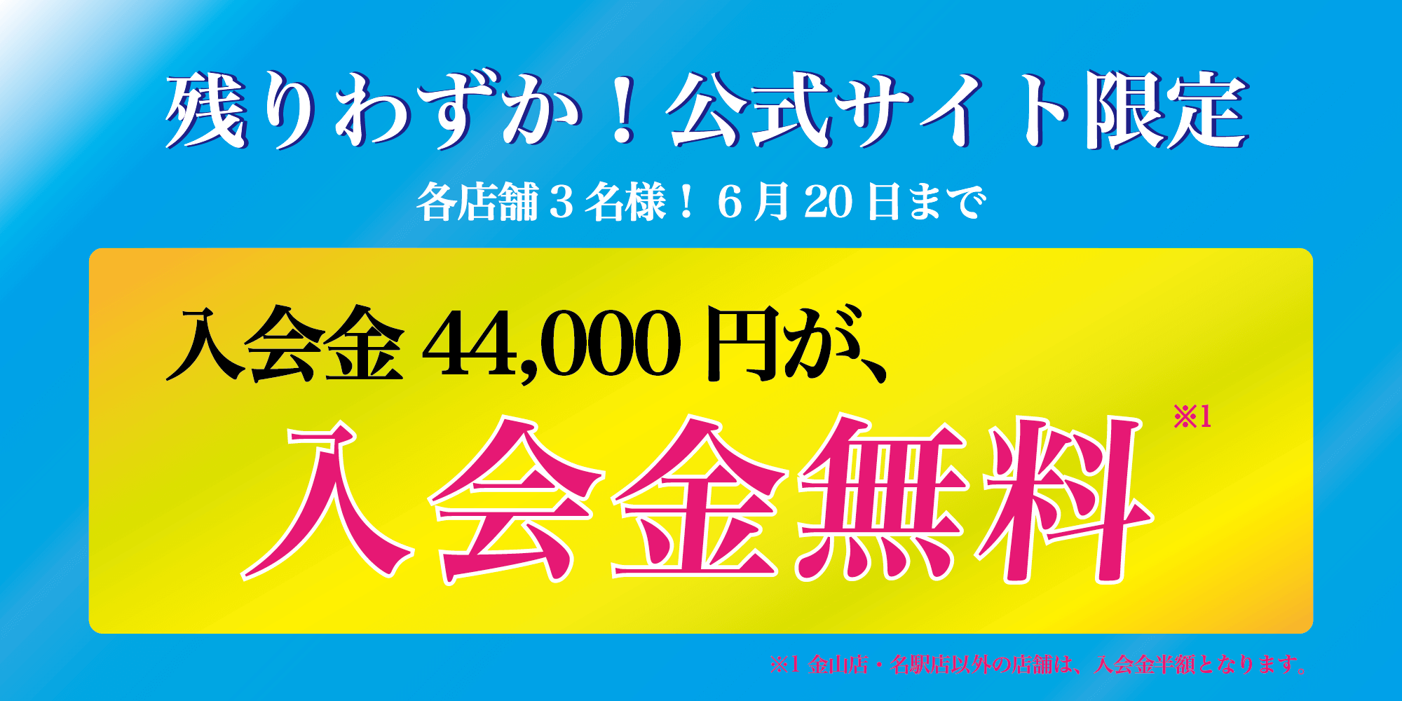 campaign banner